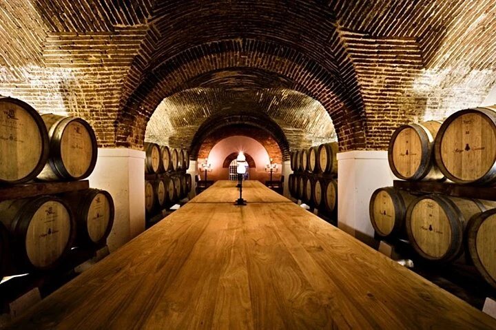 Évora & Alentejo Wine Private Tour from Lisbon — Local Traditions — Alentejo (2)