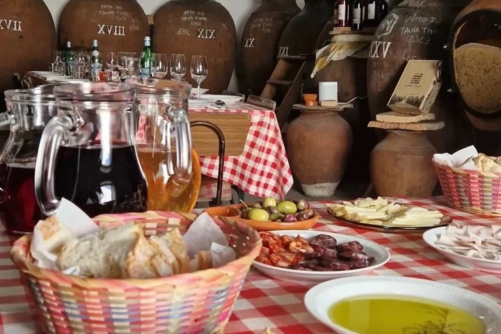 Roman Heritage Wine Tour — Hidden Alentejo from Lisbon — Alentejo · Vidigueira (5)