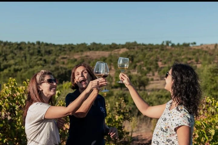 Roman Heritage Wine Tour — Hidden Alentejo from Lisbon — Alentejo · Vidigueira (3)