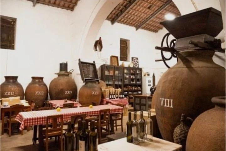 Roman Heritage Wine Tour — Hidden Alentejo from Lisbon — Alentejo · Vidigueira (4)