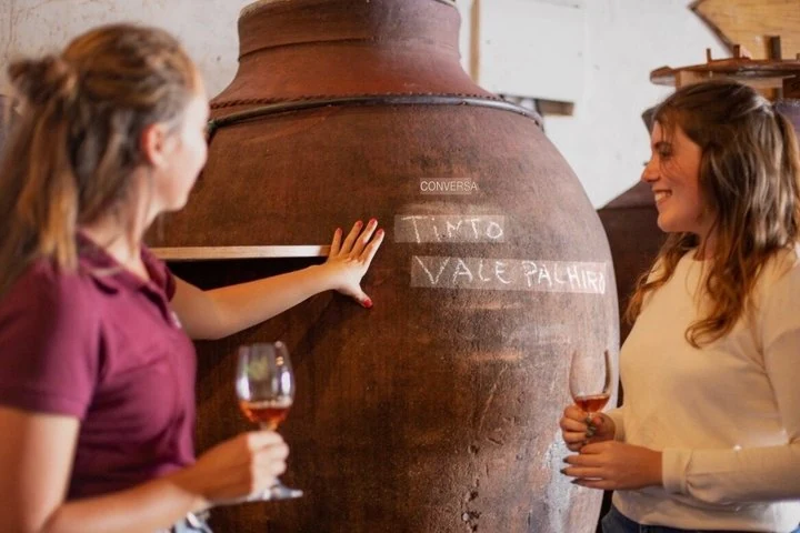 Roman Heritage Wine Tour — Hidden Alentejo from Lisbon — Alentejo · Vidigueira